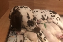 Verschnaufpause