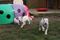 a2ba1fdc-cd5e-4677-b1d7-46d829dbb5ba