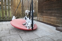 1f30c548-5d3e-4e2e-848f-6ea94fa617b8