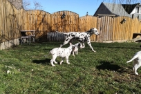 6330f34d-388f-466a-adcc-354b5fb0f80f