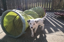 9ab8622e-506c-4981-926a-781d0ab5e0d3