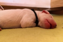 0efb1cb8-a0a7-4a65-b41b-e2bc1528f913