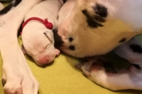 48a97f58-e37e-4c07-a114-474129b5fb72