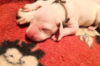 493093c1-a781-4872-b782-d29415867037