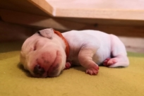 6f3de376-b663-4eb1-a4e2-0481806e4a9f 2