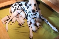 PHOTO-2020-01-14-10-59-49 10