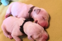 PHOTO-2020-01-14-10-59-50 2