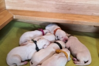 PHOTO-2020-01-14-11-01-29 2