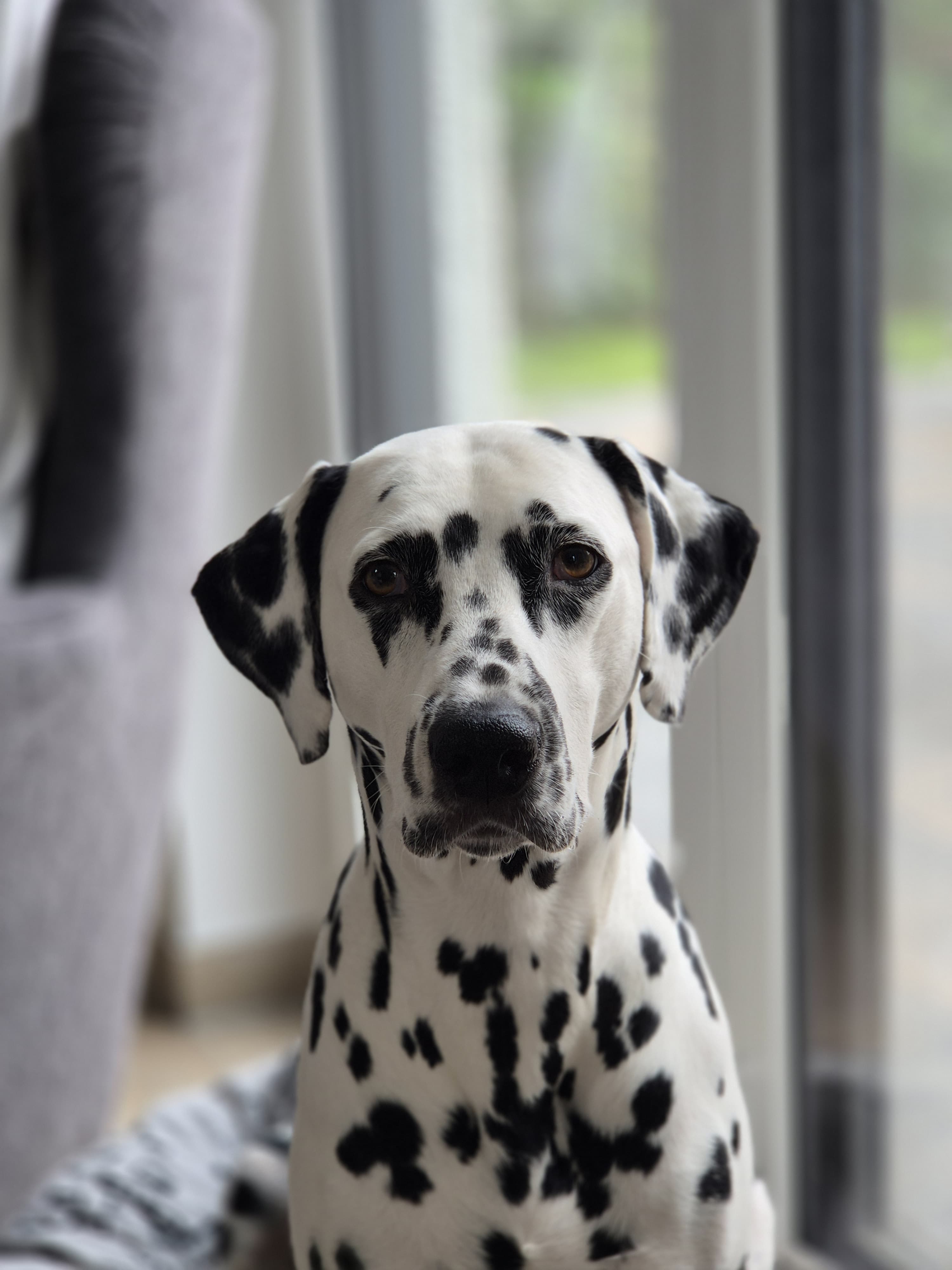 06fe415c d776 4711 9ee5 bccbc07e9d02