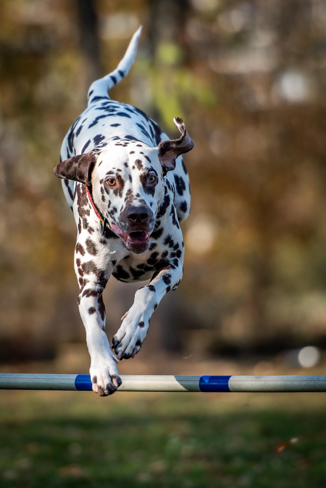 007c75c3 e4d0 41bf 8f3a 6a81995641b3