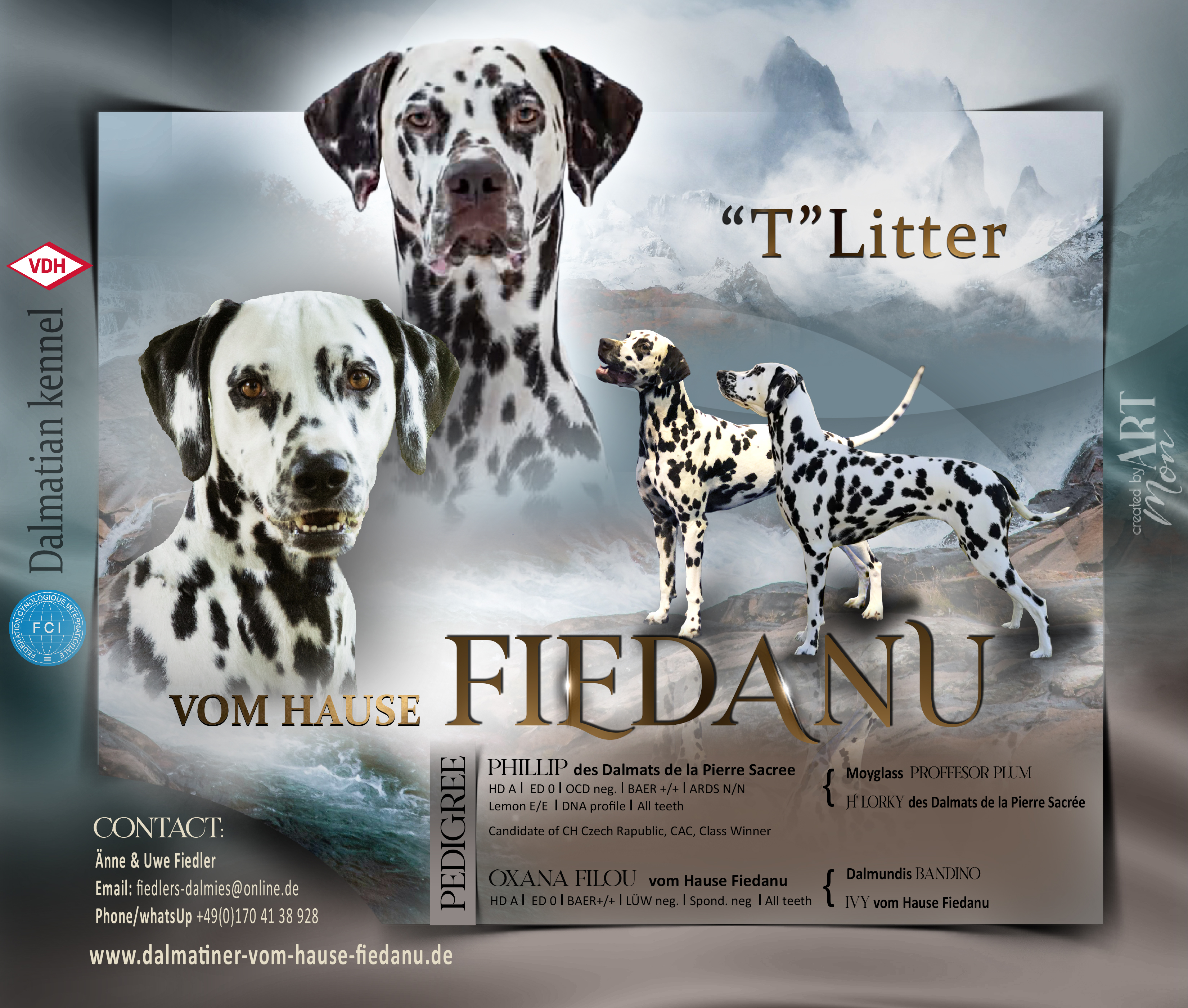 litter T fiedanu