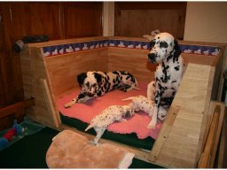 Basima vom Hause Fiedanu