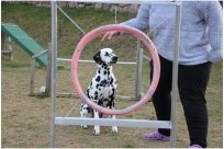 Basima vom Hause Fiedanu